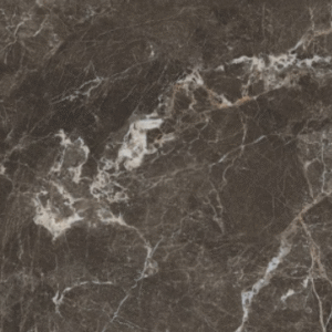 Infinia-Webster Choco